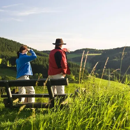 酒店 Weisser Stein 2*