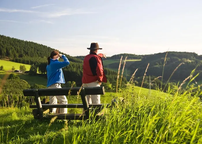 Hotel Weisser Stein 2*